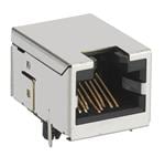 530-SS701010SAPG41BA